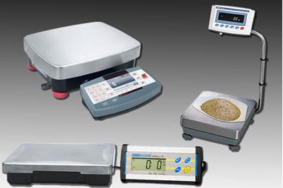 6 Features To Look For When Purchasing A Laboratory Scale Gilson Co