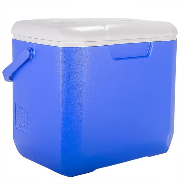 https://www.globalgilson.com/content/images/thumbs/0025415_insulated-container_600.jpeg